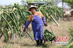 澳门球盘网址_澳门球盘网站_澳门球盘官网_     自2015年10月为92519户391041人建