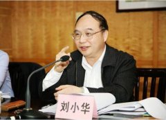 澳门球盘网址_澳门球盘网站_澳门球盘官网_我不仅深深感到湛江是一个能干大事