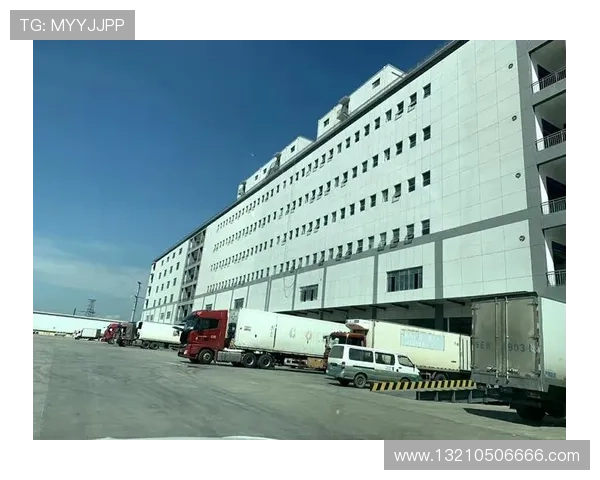 凯发集团网站官网：全面了解凯发集团的官方网站及其最新动态