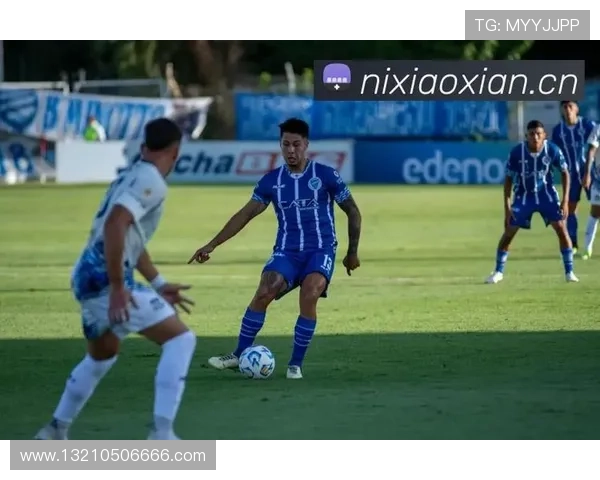 开云体育在线观看便捷操作界面适合新手快速上手观看体育赛事