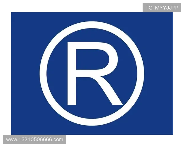 K8凯发真人版会员注册指南全面解析快速完成注册步骤