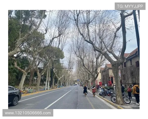 ag厅k8登录线路稳定性提升与快速连接指南,确保玩家畅享无忧游戏体验 ag厅k8登录线路稳定性提升与快速连接指南,确保玩家畅享无忧游戏体验